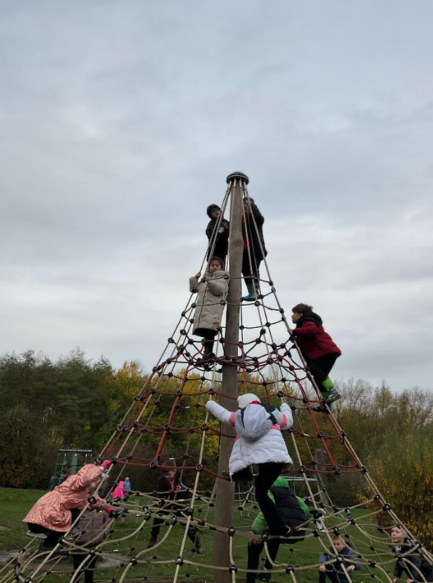 Year 2 Brocks Hill Country Park